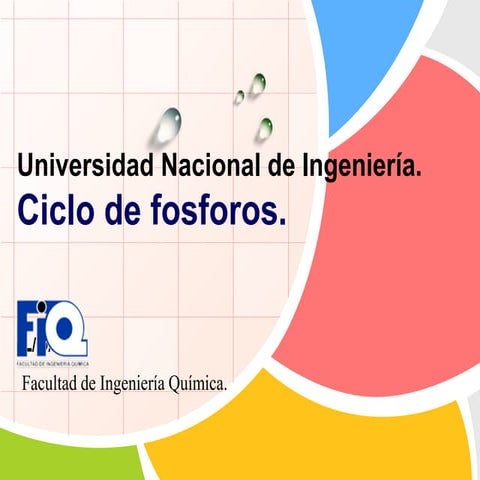 Ciclo de fosforos
