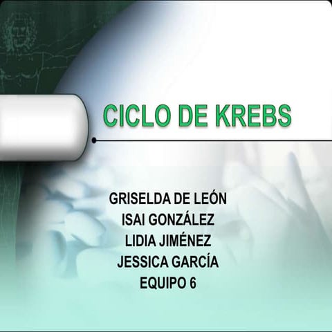 Ciclo de krebs