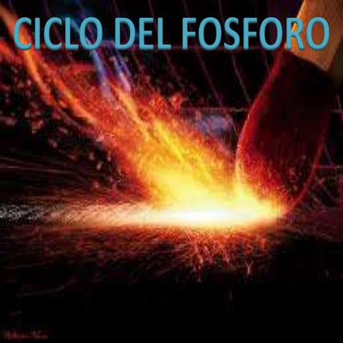Ciclo del fosforo
