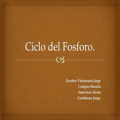 Ciclo del fosforo