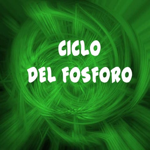 Ciclo del fosforo