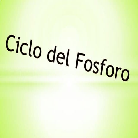 Ciclo del fosforo