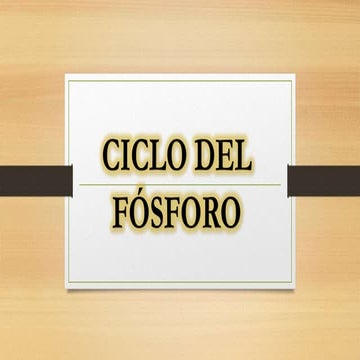Ciclo del Fosforo