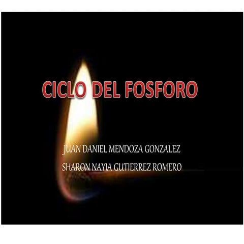 Ciclo del fosforo