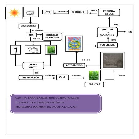 Ciclo del oxigeno imagen