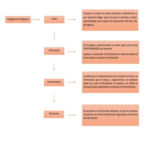 Ciclo de vida de b.i