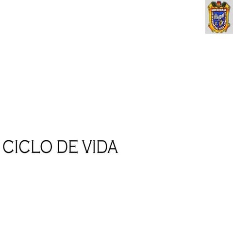 Ciclo de vida