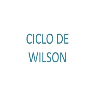 Ciclo de wilson