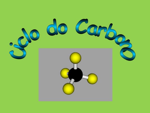 Ciclo Do Carbono
