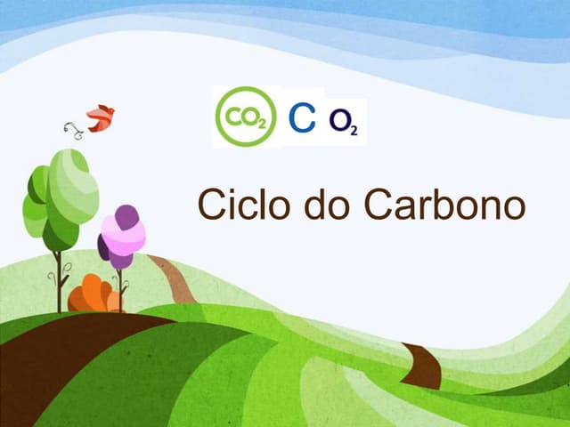 Ciclo do carbono