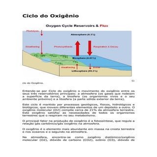 Ciclo Do OxigêNio