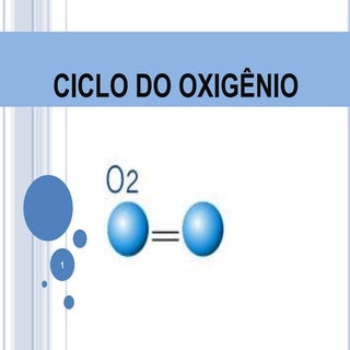 Ciclo do oxigênio