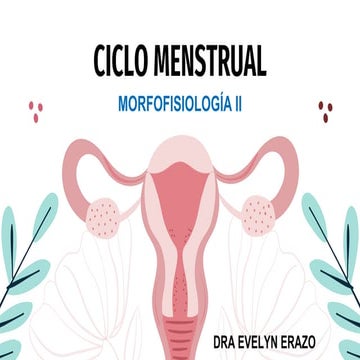 CICLO MENSTRUAL MORFO 2 (1).pptx