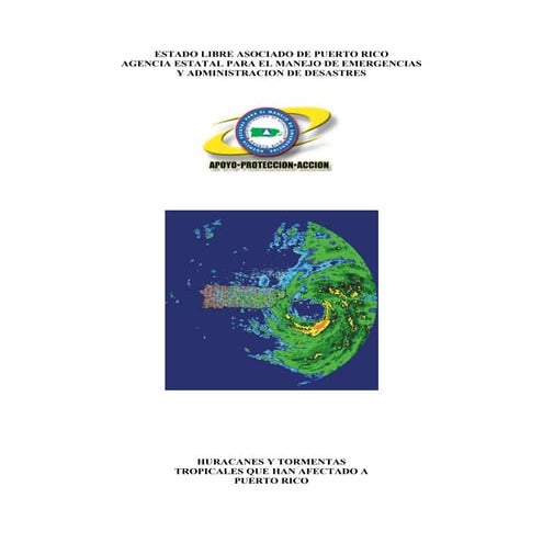 Formulario de-orden-de-proteccion | PDF