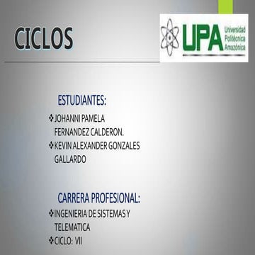 Ciclos