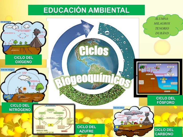 Ciclos Biogeoquimicos
