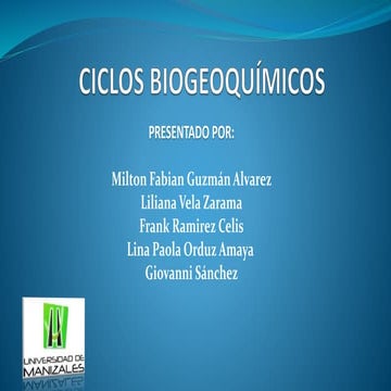 Ciclos  BIogeoquimicos