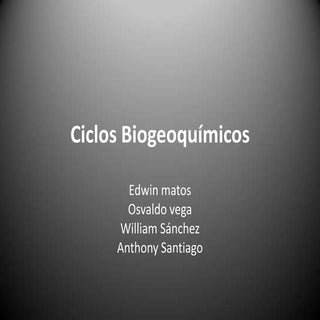 Ciclos biogeoquímicos