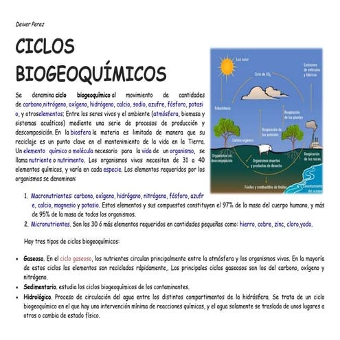 Ciclos biogeoquímicos