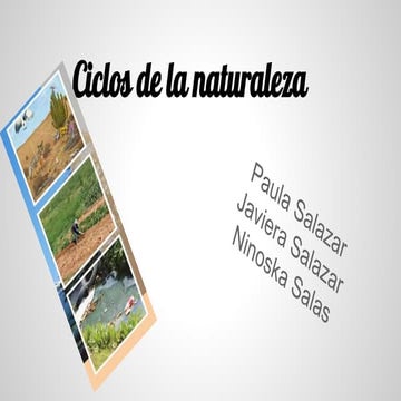 Ciclos de la naturales 