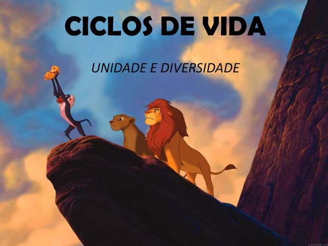 Ciclos de vida