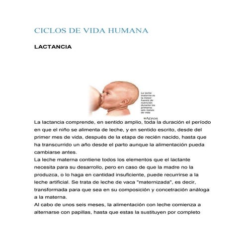 Ciclos de vida humana