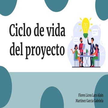Ciclovidaproyecto