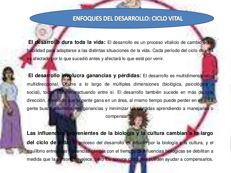 Teoria del ciclo vital_teoria_online