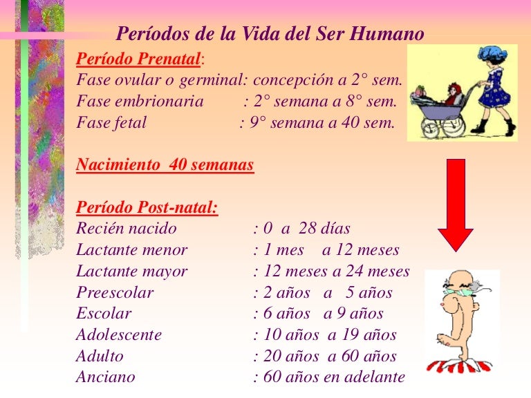 Ciclo vital individual bbbb