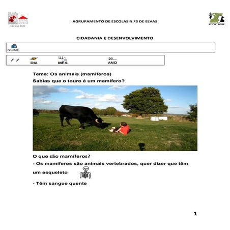 Ficha sobre os mamíferos 