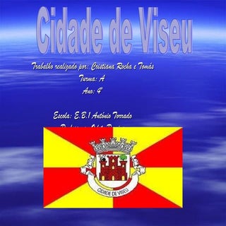 Cidade de viseu