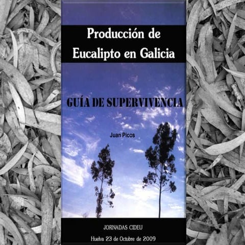 Producción y Transformación de Eucalipto en Galicia: Guía de Supervivencia