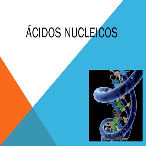 acios nucleicos