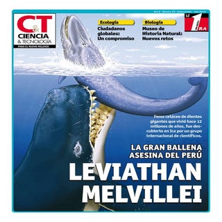 Algas del mar frío: nutriente sagra...