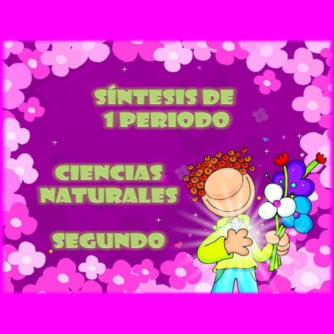SINTESIS DEL 1 PERIODO DE CIENCIAS