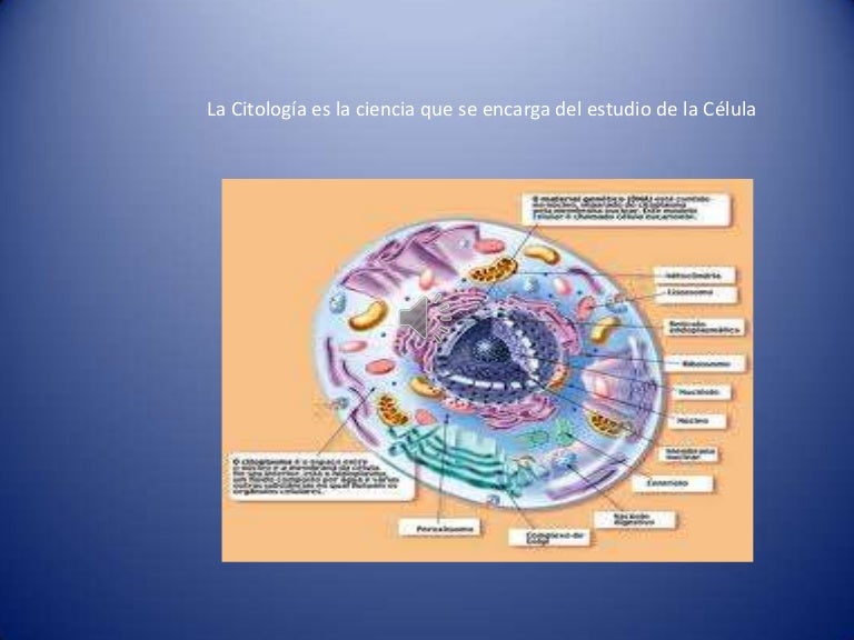 Ciencias auxiliares de la biologìa