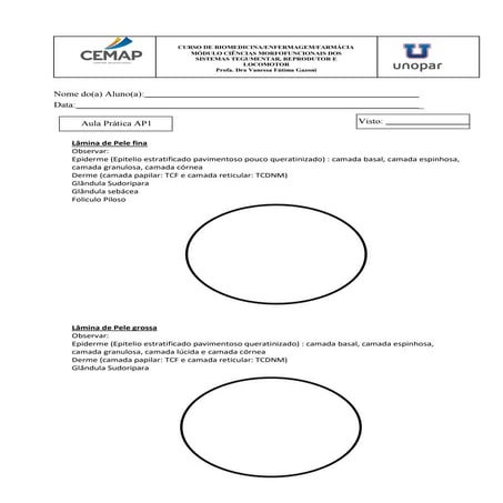 CIÊNCIAS MORFOFUNCIONAIS DOS SISTEMAS TEGUMENTAR ROTEIRO AULA PRATICA ...