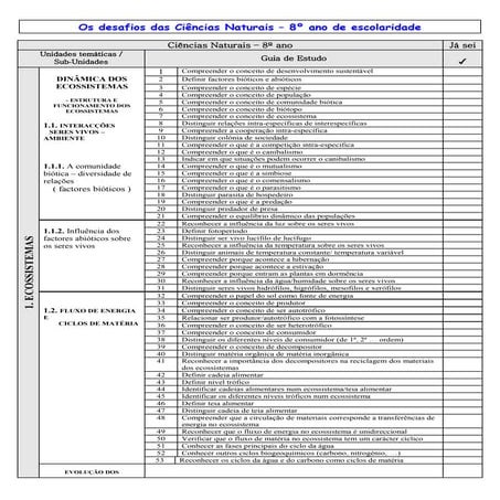 Guia de estudo 8º ano | PDF