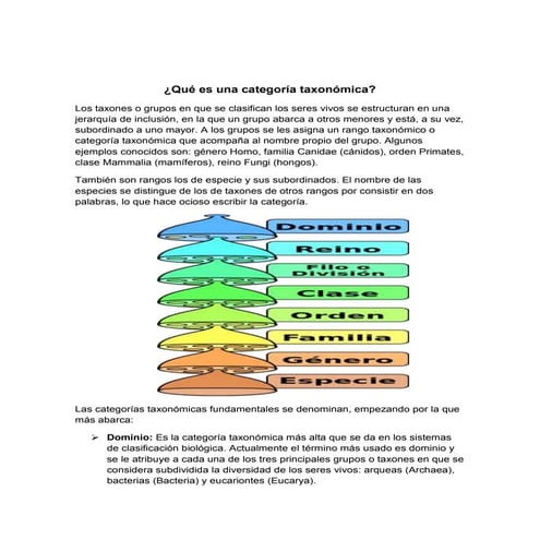 Información sobre Categoría Taxonómica 