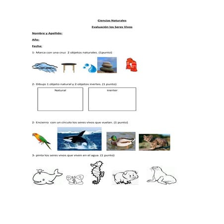 Evaluación - Ciencias Naturales- Los seres vivos-