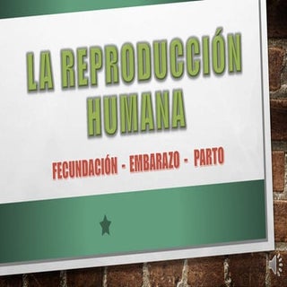 Ciencias naturales   la reproducció...