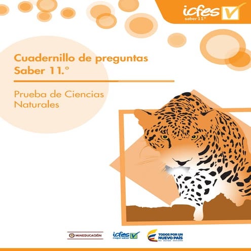 Ciencias naturales saber 11 | PDF