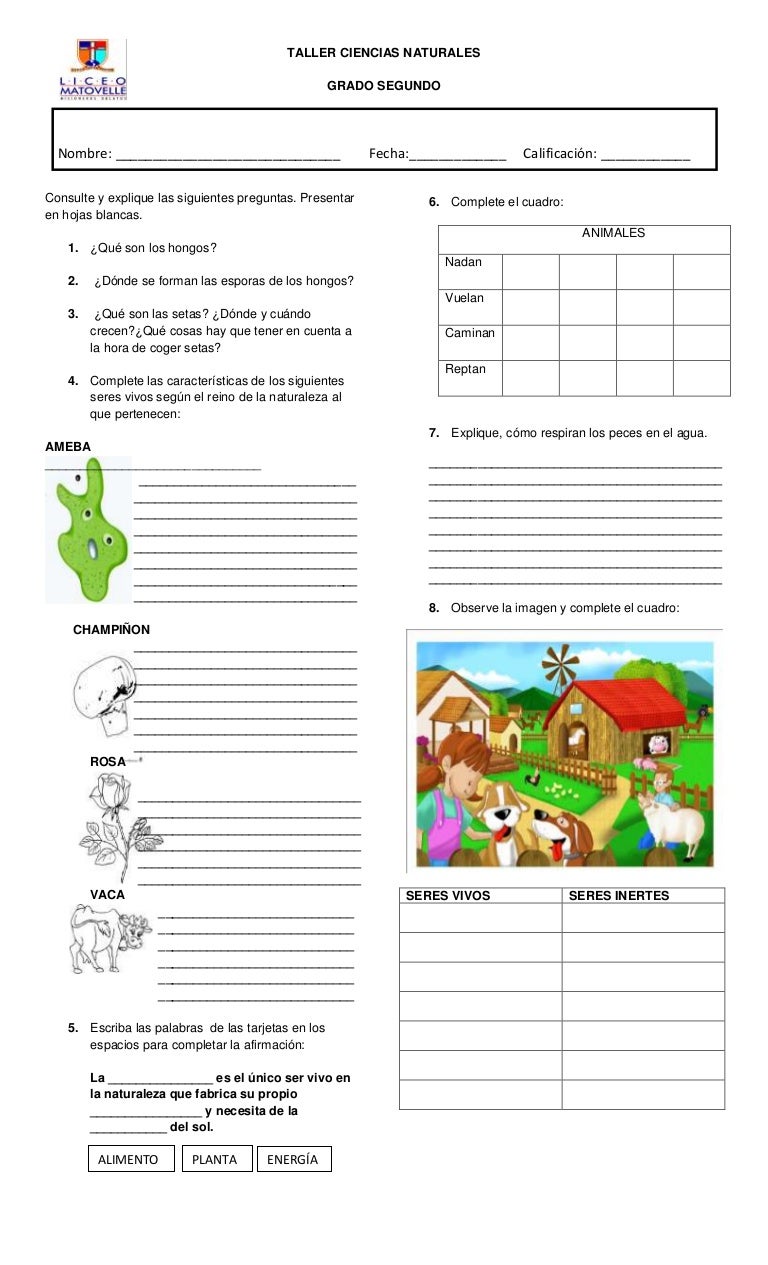 Ciencias naturales segundo