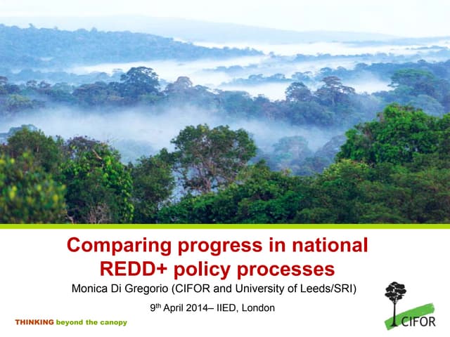 Comparing progress in national REDD+ policy processes