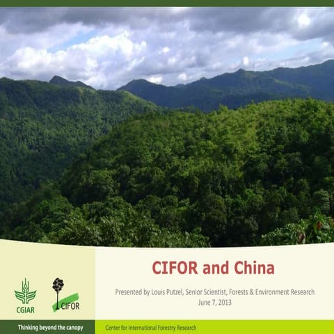 CIFOR and China