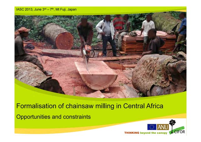 thumbnail of  Formalization of chainsaw milling in Central Africa: Opportunities and constraints