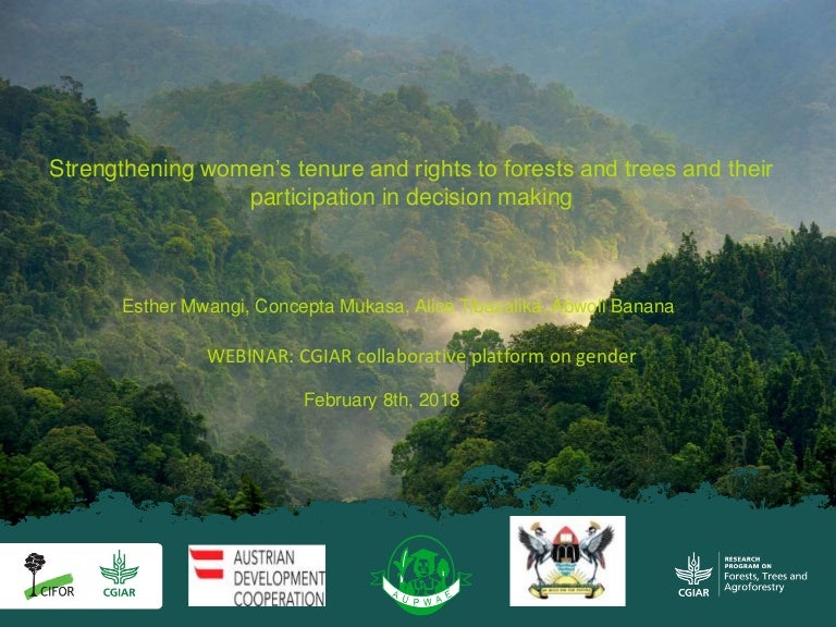 thumbnail of  Strengthening women's tenure and rights to forests and trees and their participation in decision making