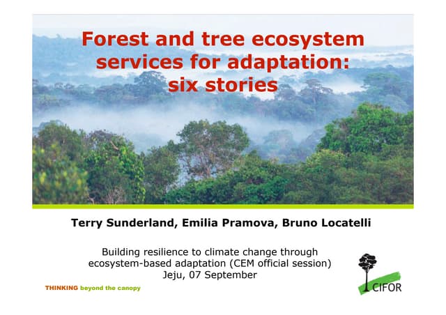 Forest and tree ecosystem services for adaptation: six stories