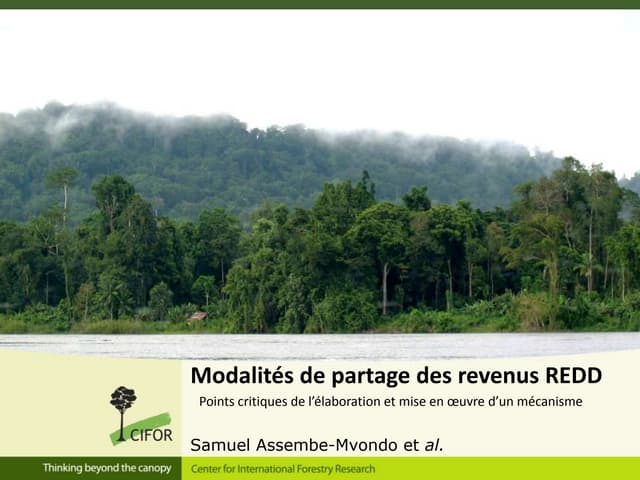 thumbnail of  Modalités de partage des revenus REDD