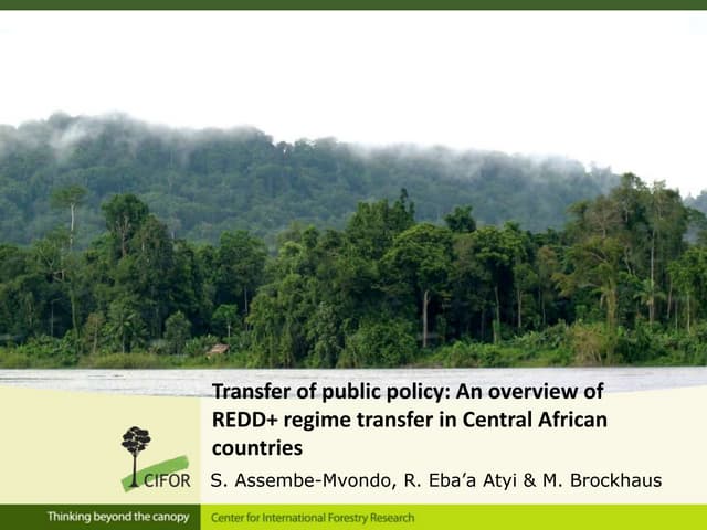 REDD+ in Central Africa: an overview of opportunities and challenges for transferring policy